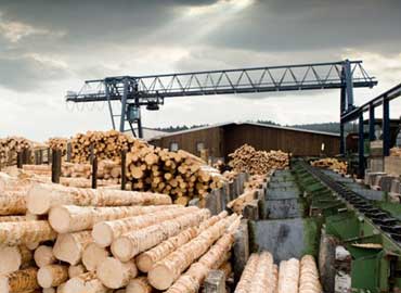 Wooden Bridge