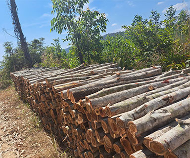 Kho gỗ